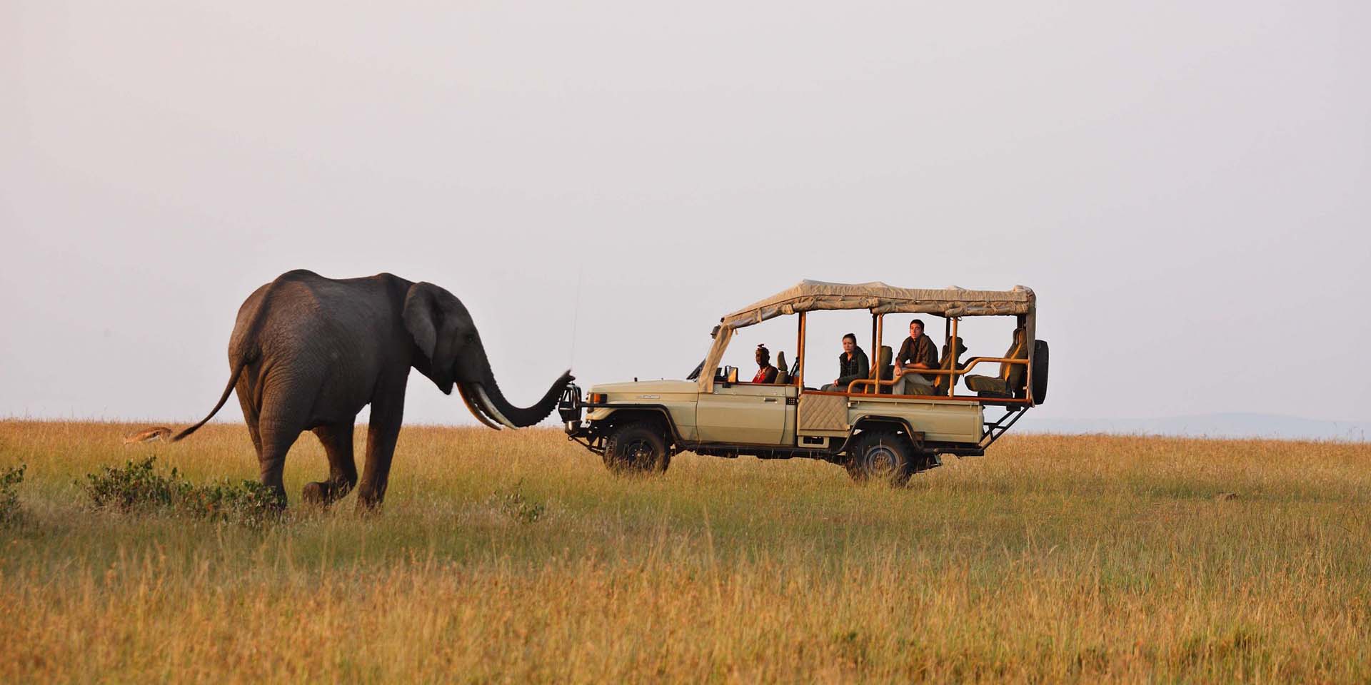 Game drives