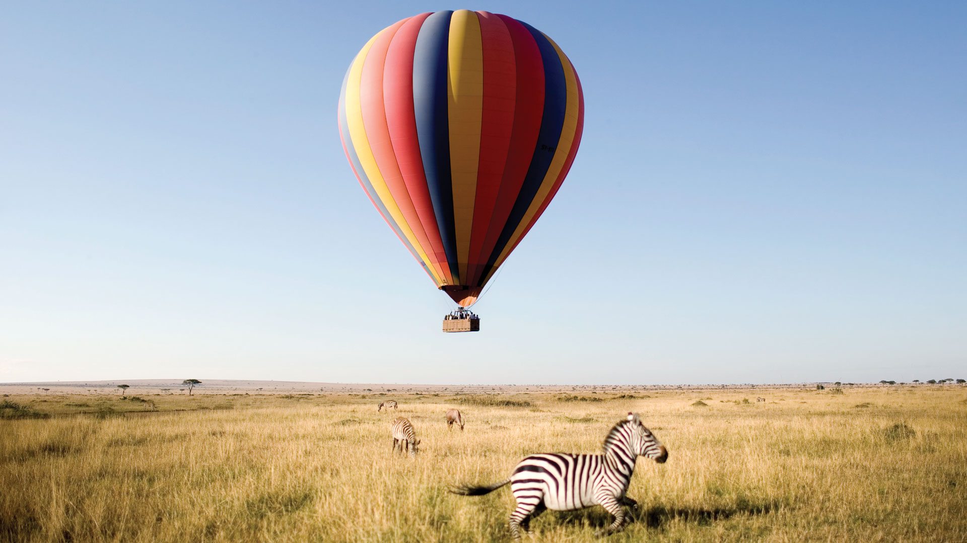 Hot air balloon safaris
